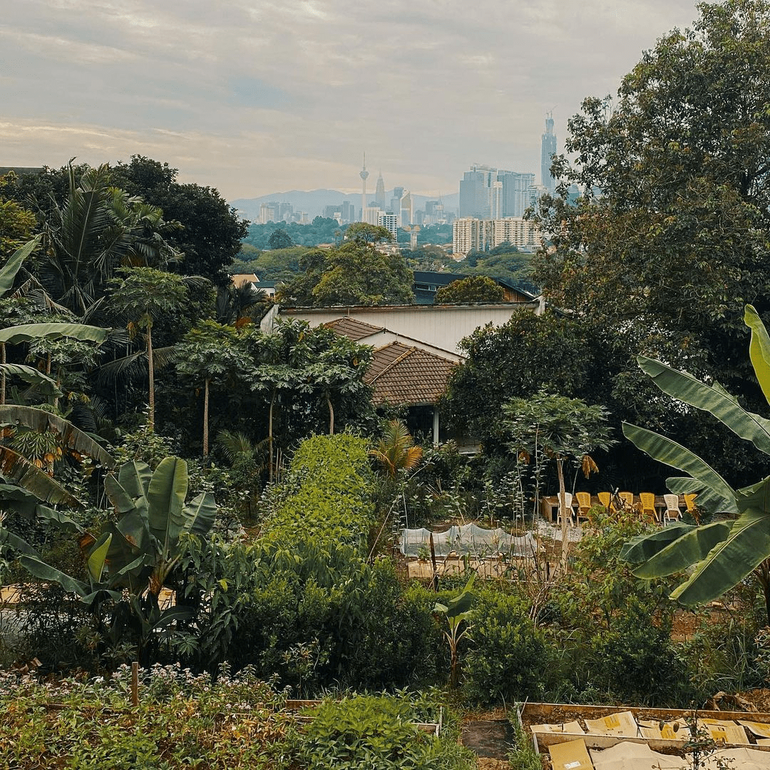 Kebun Kebun Bangsar - garden