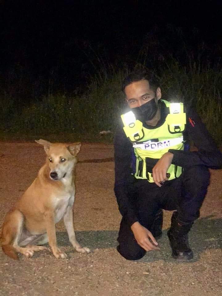 Police officers befriend stray dog 