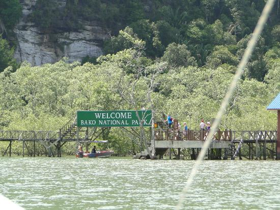 Bako National Park - floating entrance