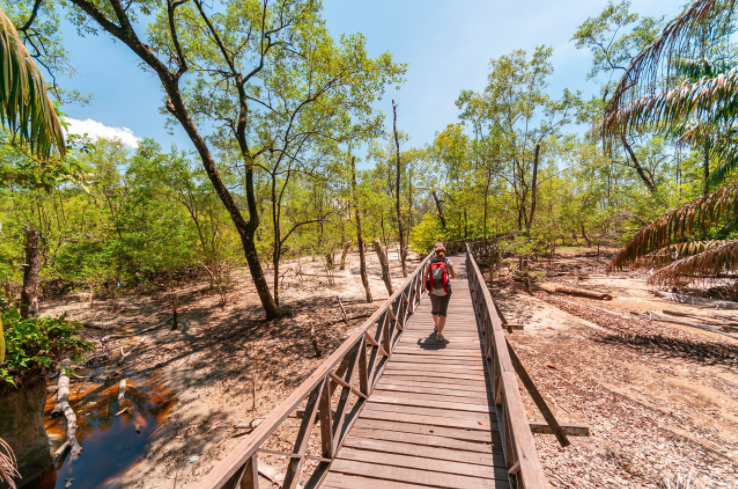 Bako National Park - Telok Tajar Beach