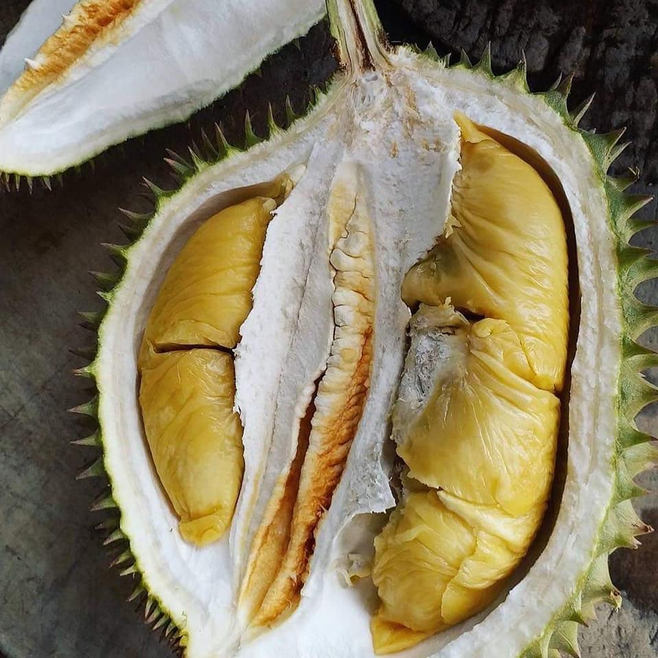Tekka durian flesh