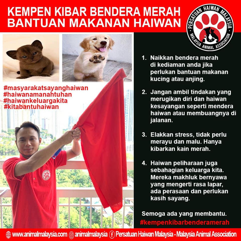 Red flag campaign poster