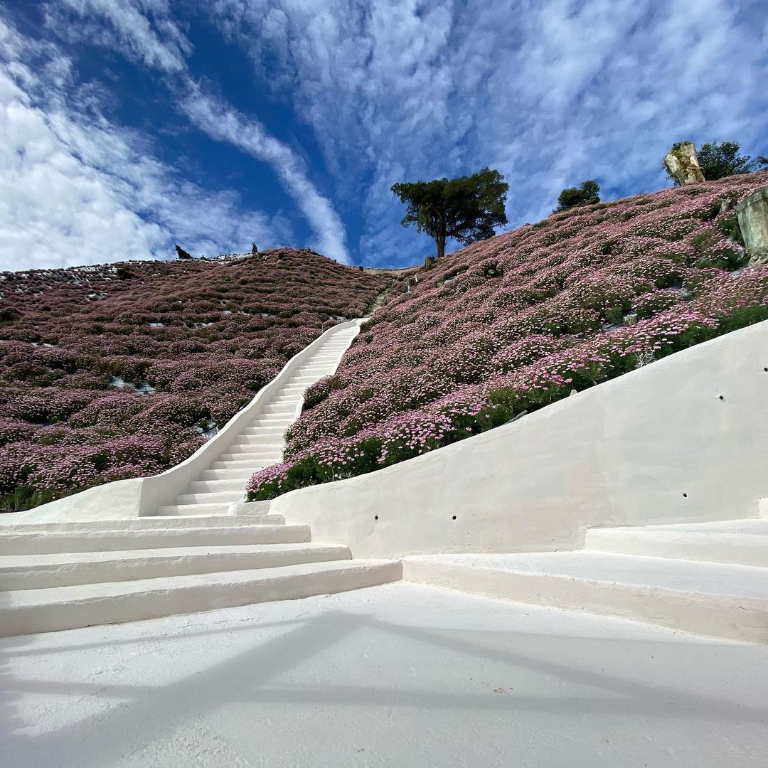 Cameron Highlands Flora Park - stairs