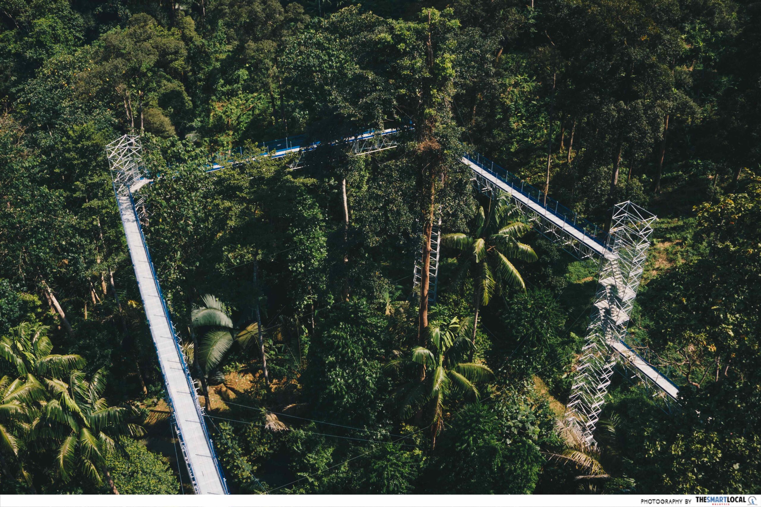 Forest Skywalk In FRIM Has Panoramic Views Of KL From A Skywalk