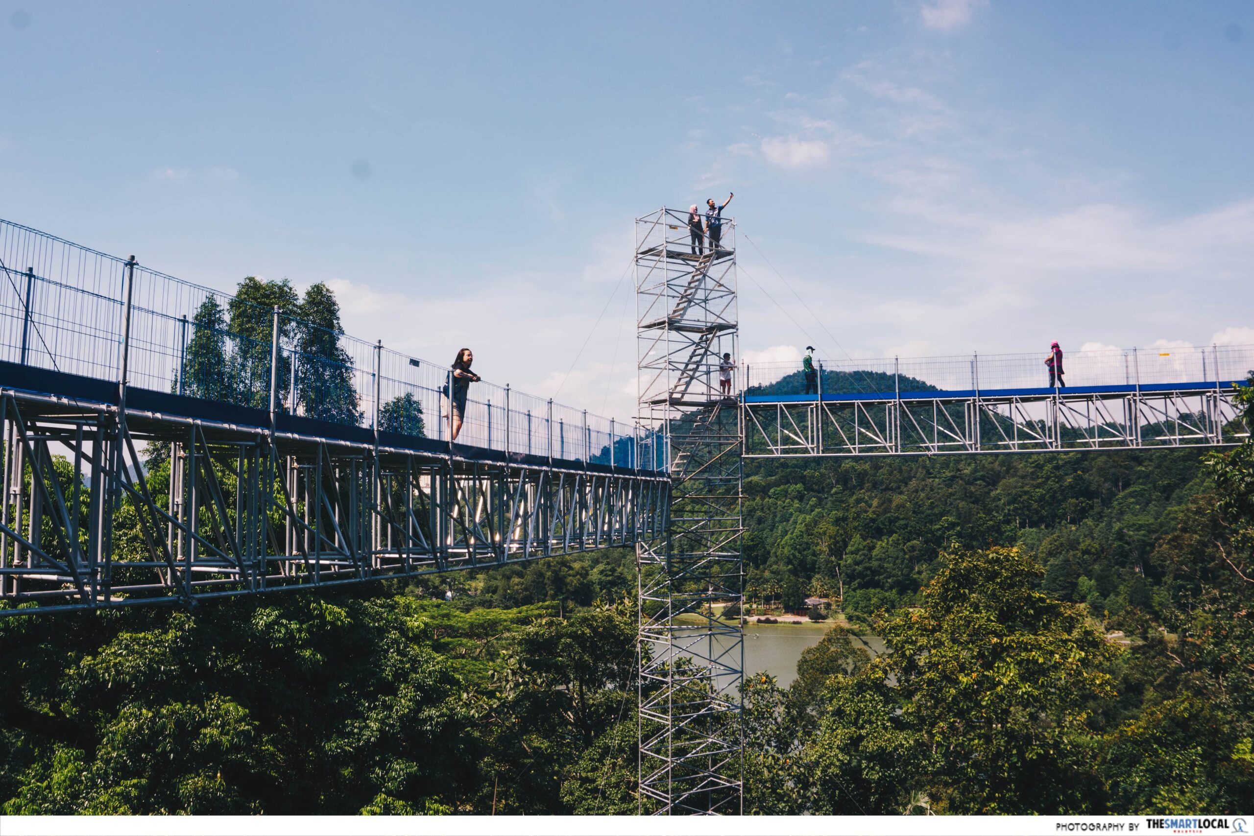 FOREST SKYWALK - canopy