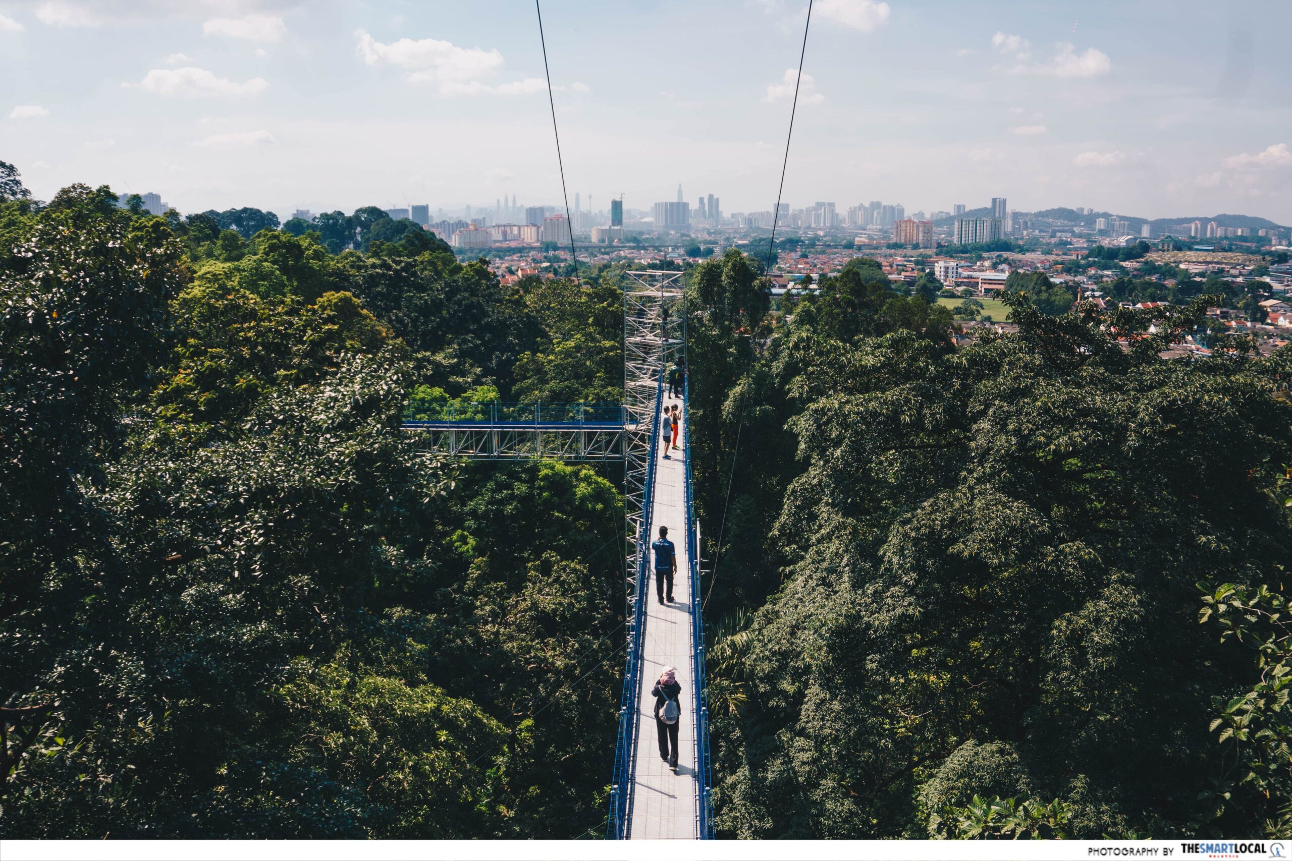 FOREST SKYWALK - canopy