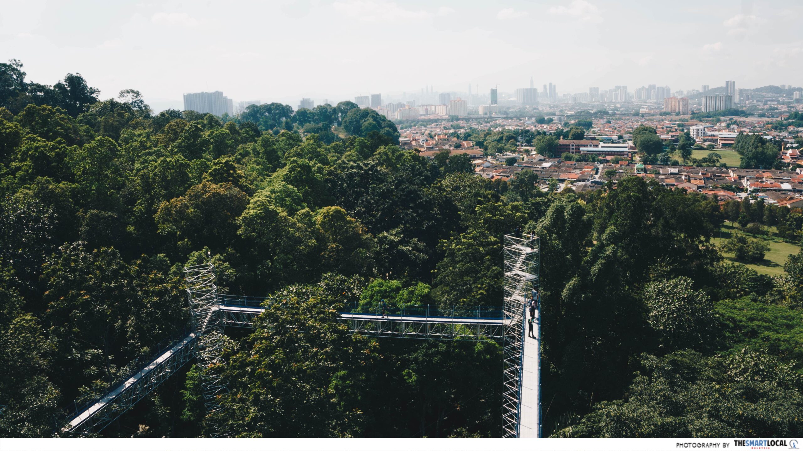 FOREST SKYWALK - canopy