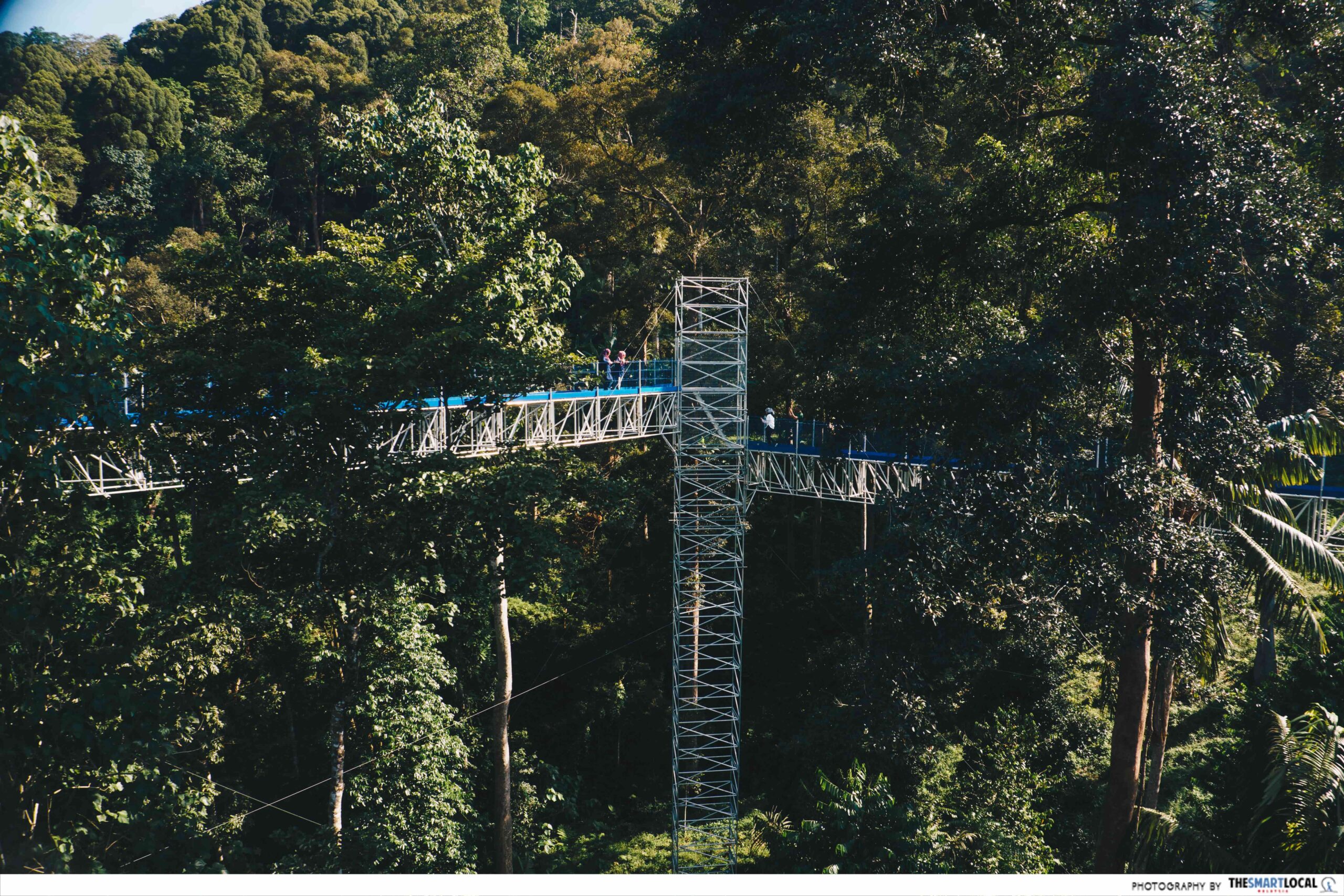 FOREST SKYWALK - watchtower