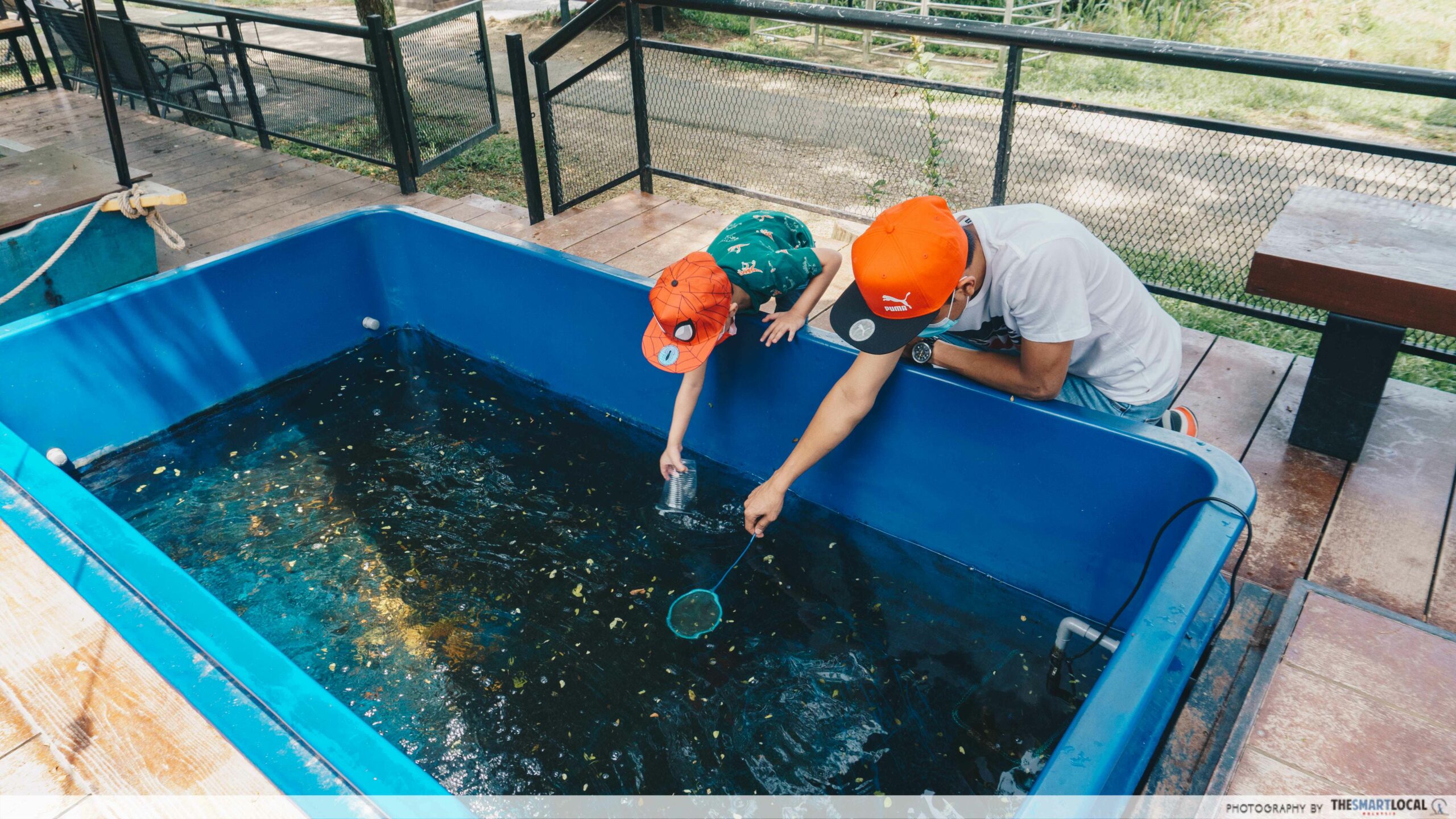 G2G Animal Garden - fishes