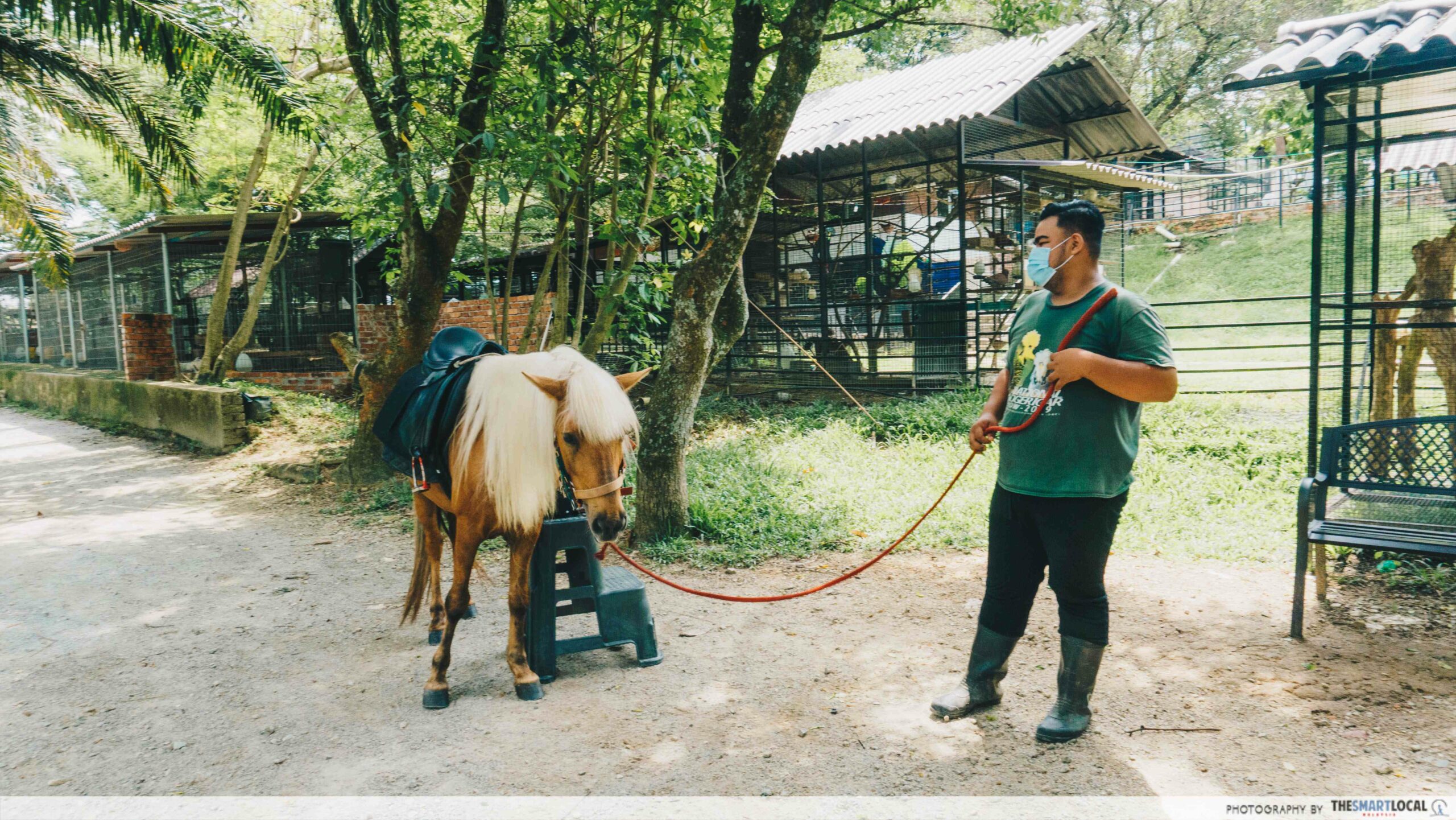 G2G Animal Garden - ponies