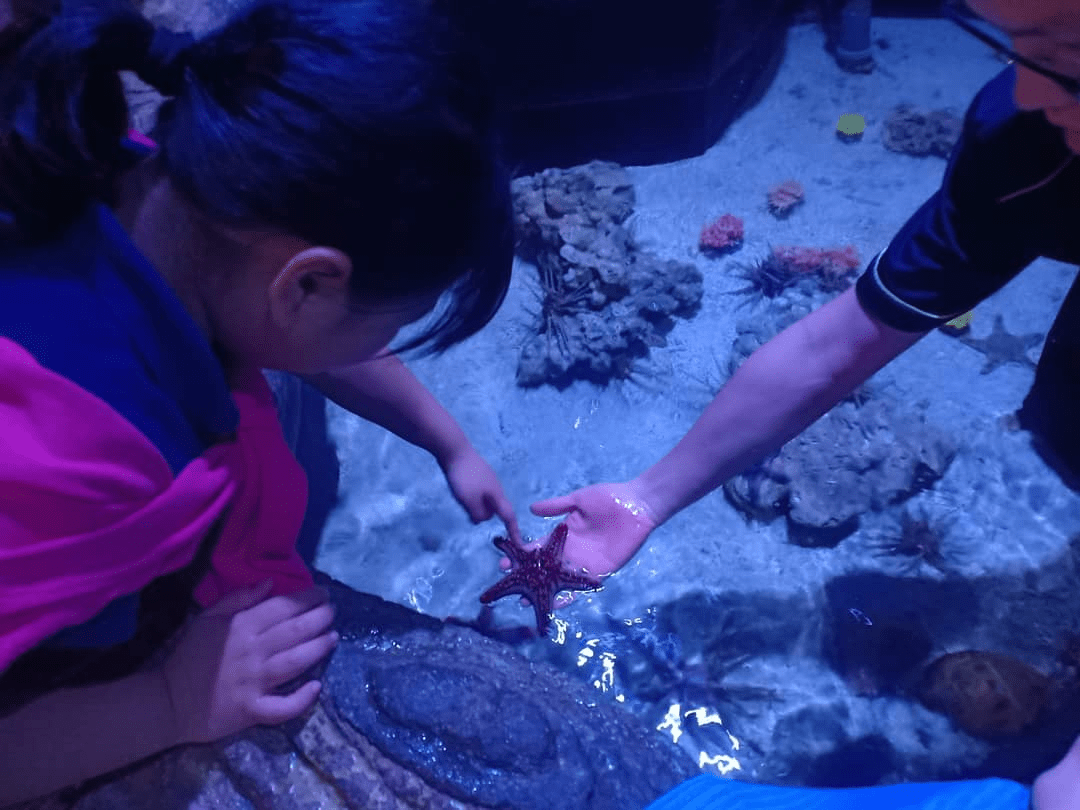 Things to do in Melaka - The Shore Oceanarium