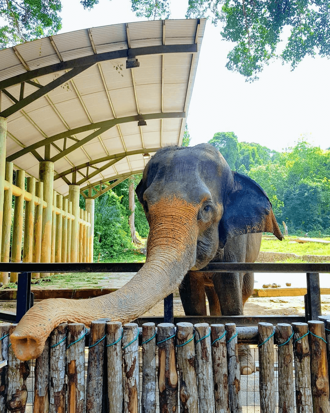 Things to do in Melaka - Zoo Melaka