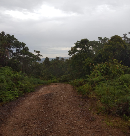 Teen hikes for hours - hike