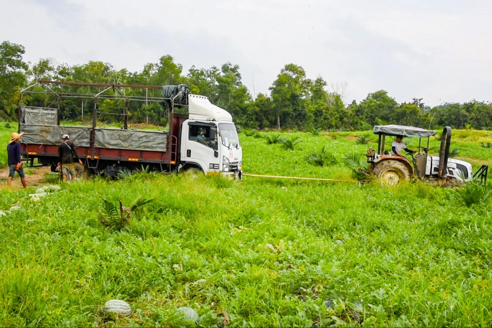 melon farming in malaysia - watermelon farm with truck