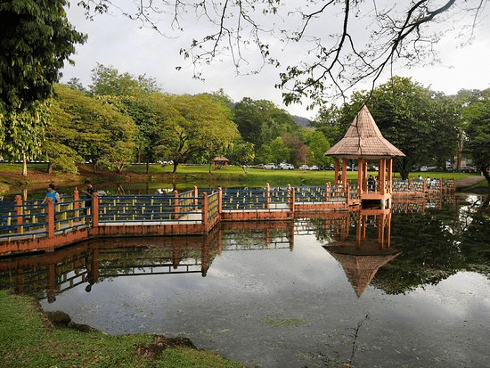 Taiping Lake Gardens in Perak - bridge