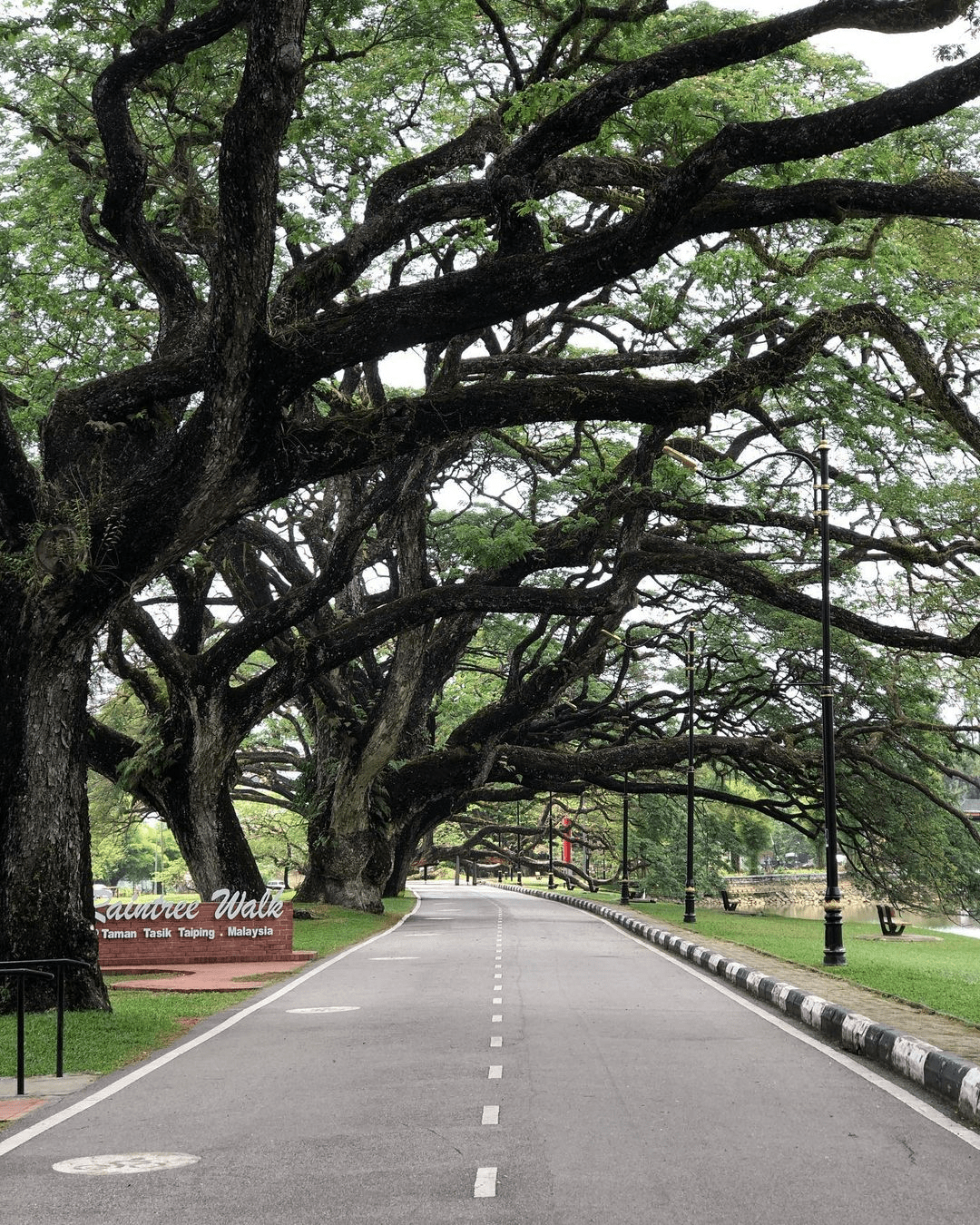 Taiping Lake Gardens in Perak - heritage walk