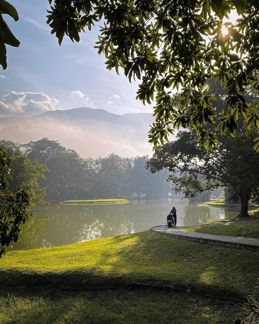 Taiping Lake Gardens in Perak - lake