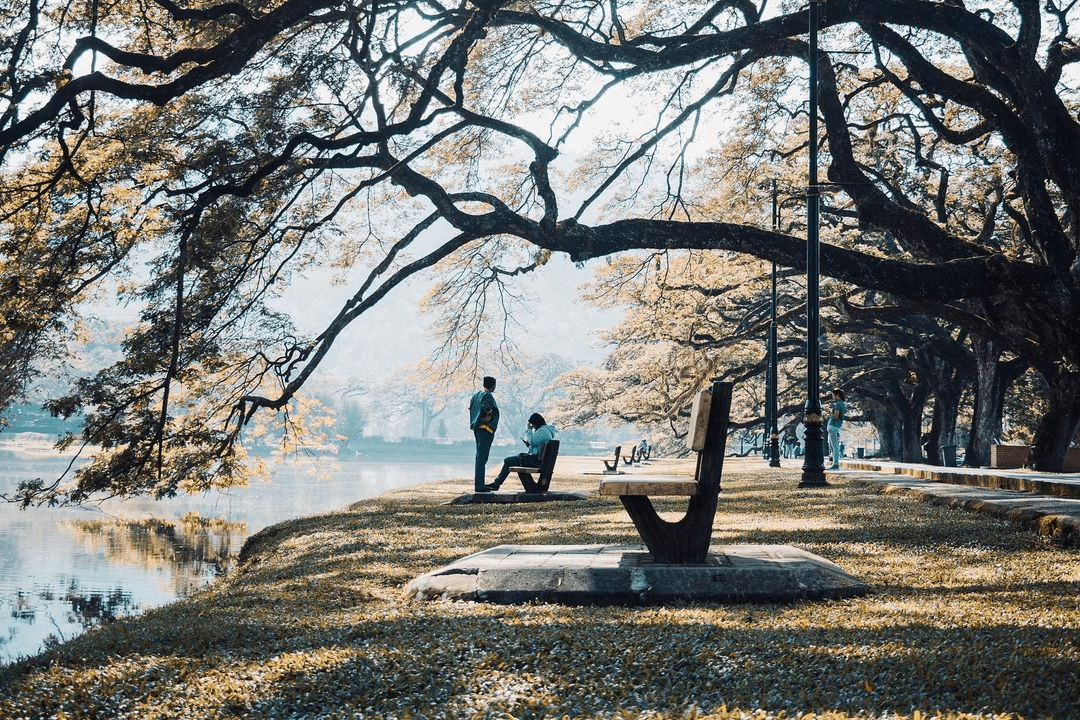 Taiping Lake Gardens in Perak - park