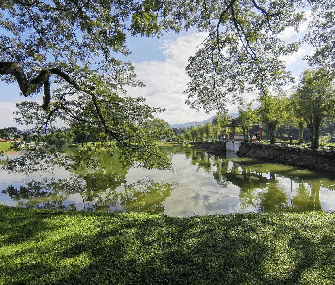 Taiping Lake Gardens in Perak - lake