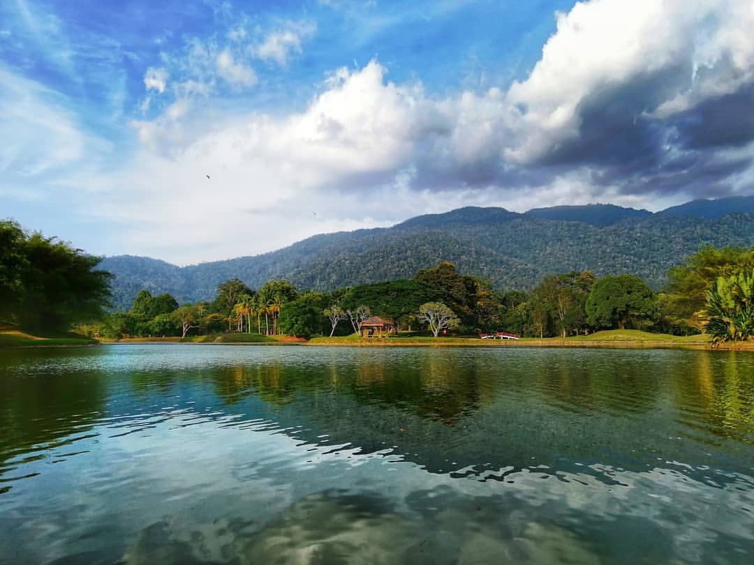 Taiping Lake Gardens in Perak - views