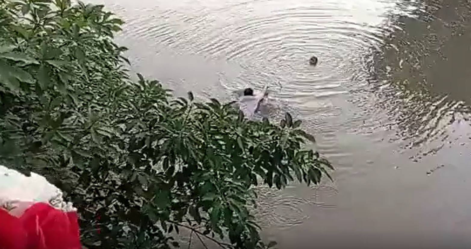 Groom save child - swim