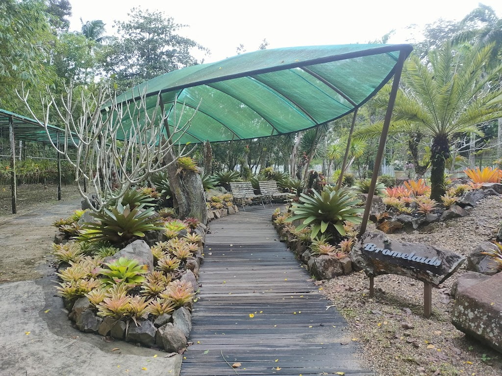 things to do in kuching - orchid garden