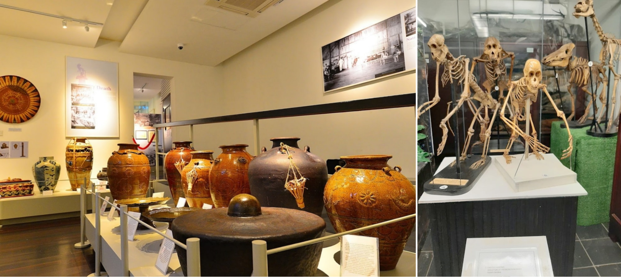 things to do in kuching - state museum exhibitions