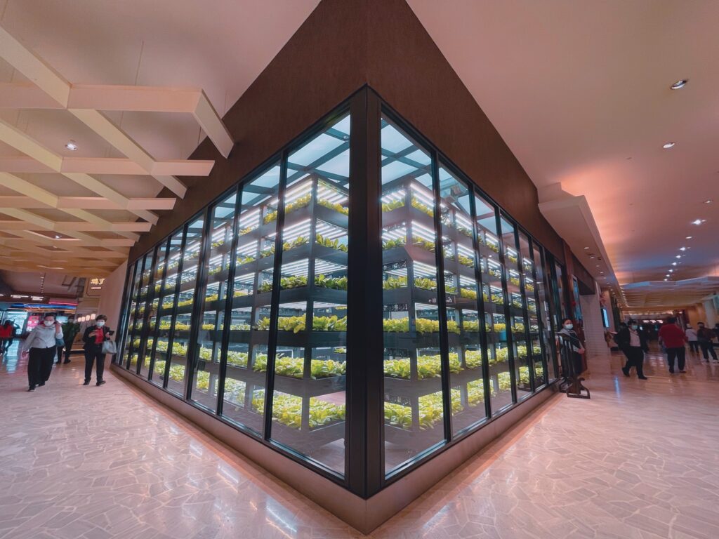 Awana Garden Hot Pot Farmtotable Hotpot With 8 Broths In Genting