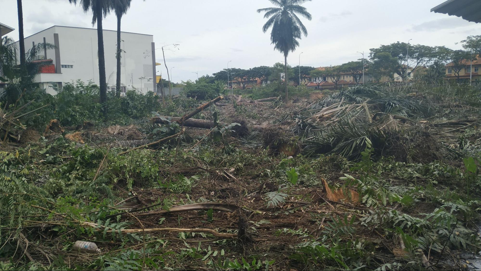 Land clearing for development
