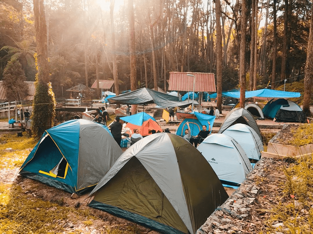 Cameron Highlands Guide - Things To Do - camp