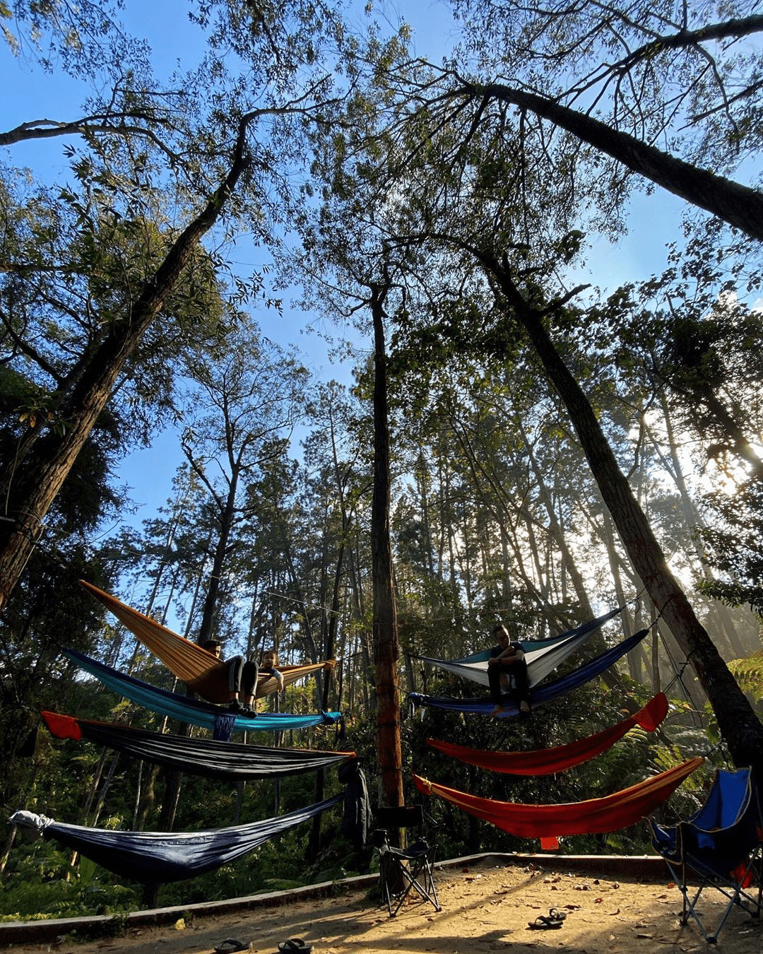 Cameron Highlands Guide - Things To Do - camping hammocks