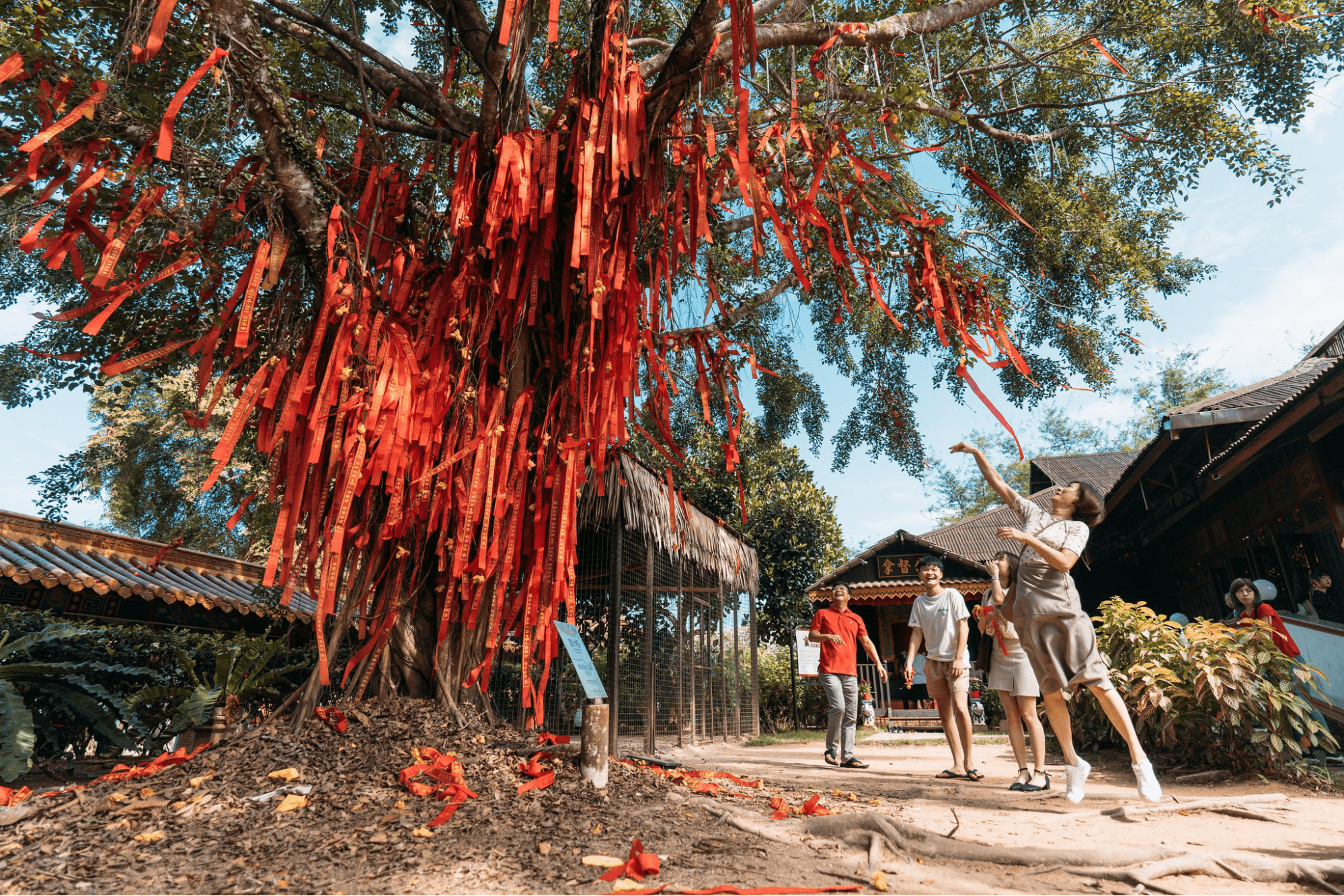 Wishing tree at Buddhist temple