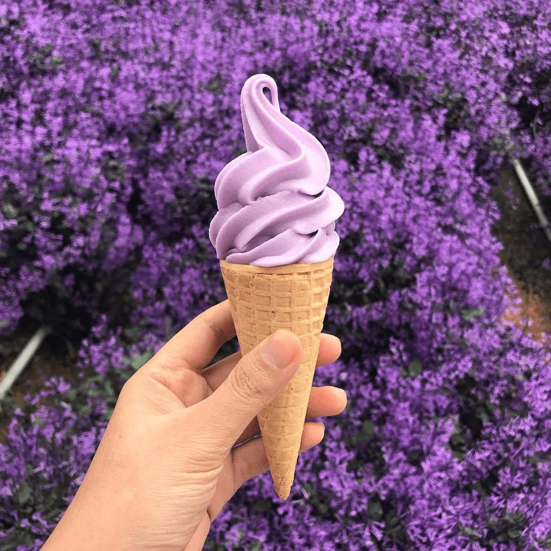 Things To Do In Cameron Highlands - ice cream