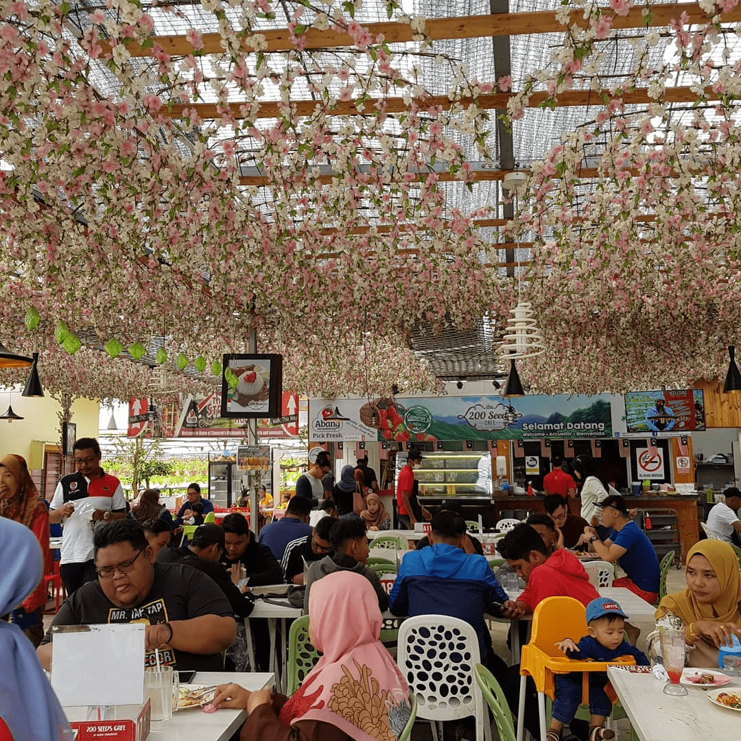 Things To Do In Cameron Highlands - dining space