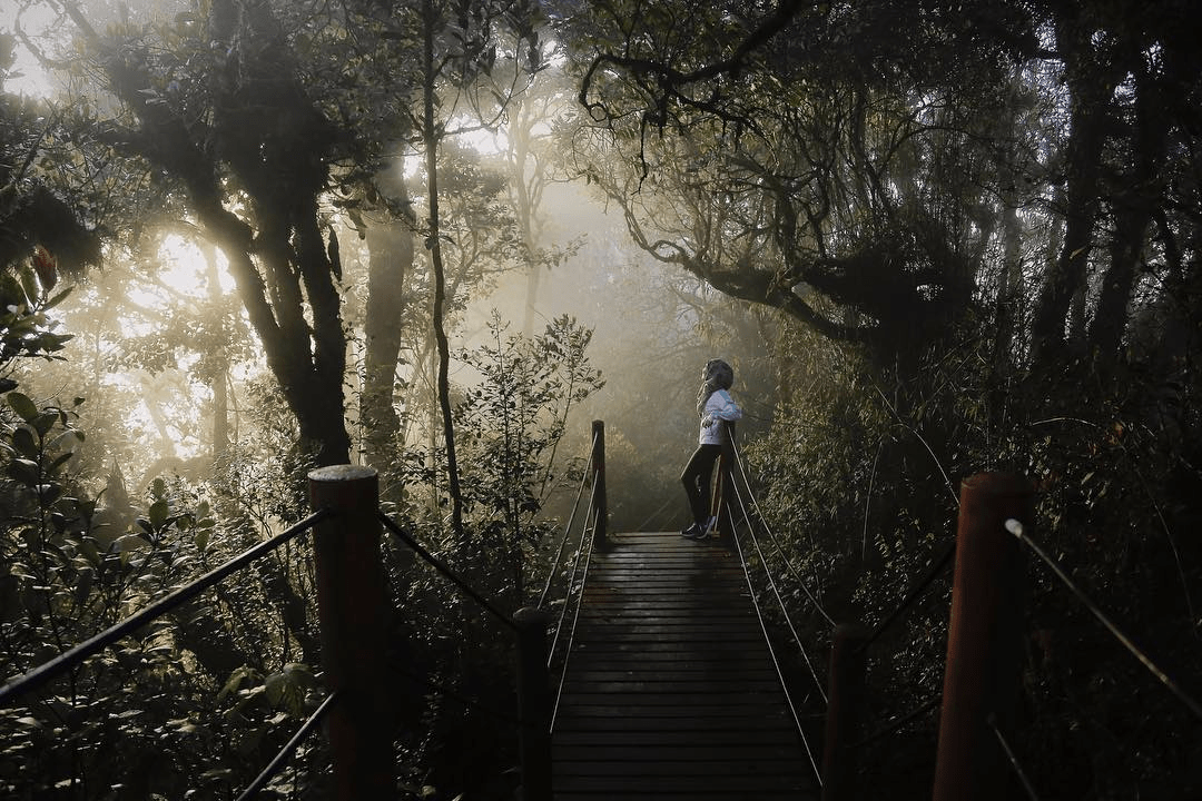 Things To Do in Cameron Highlands - hiking