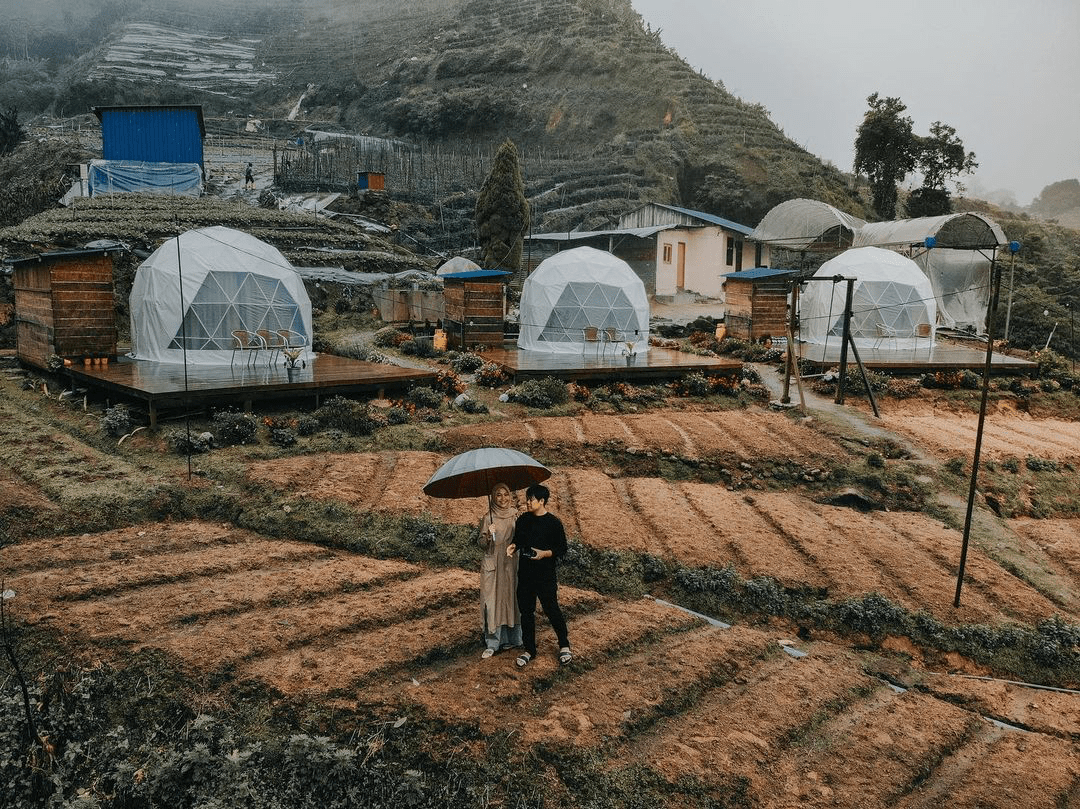 Things To Do in Cameron Highlands - glamping