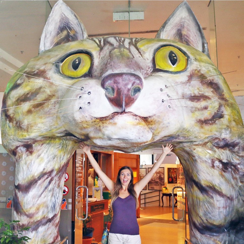 Unique Museums - cat