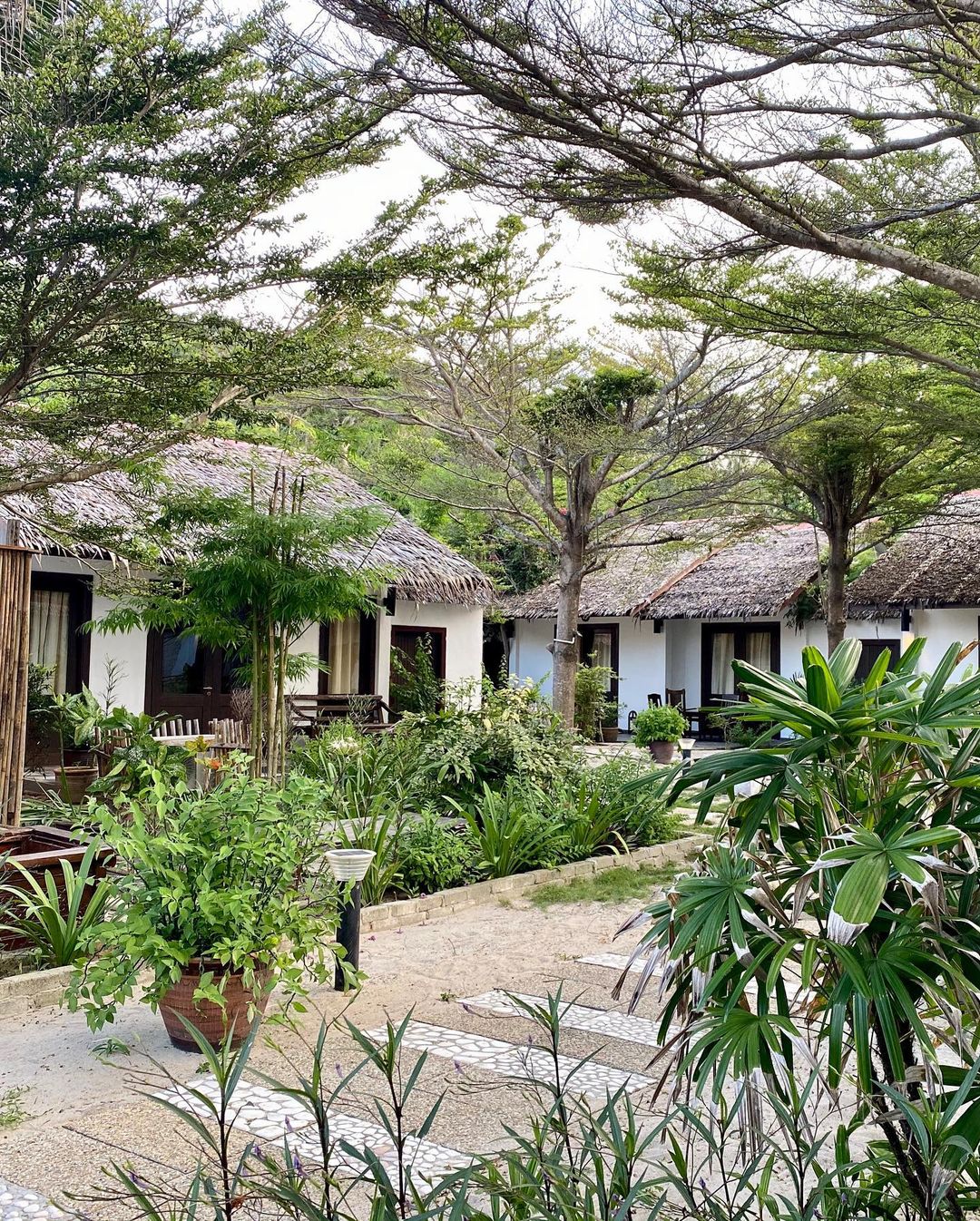 Bubu Resort - villa