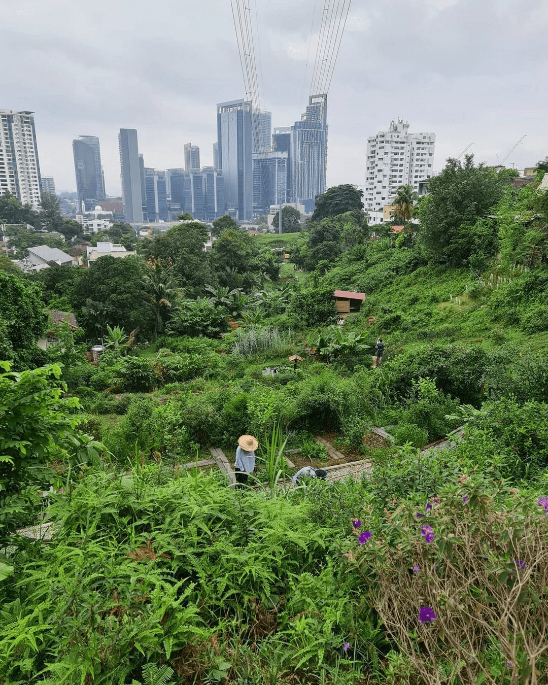 Family-friendly things to do - Kebun Kebun Bangsar