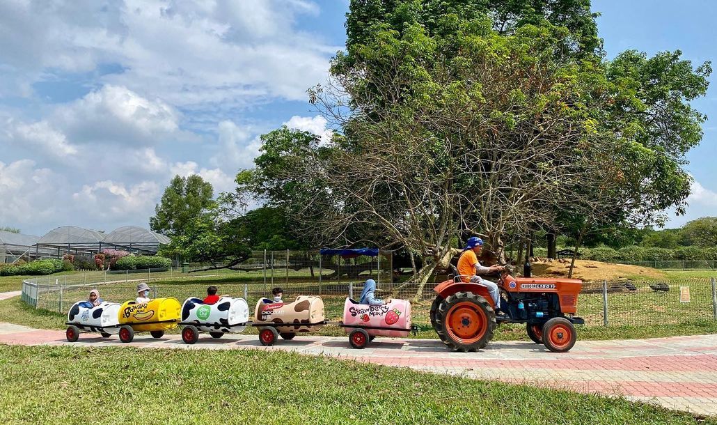 Family friendly things to do in Klang Valley - barrel ride