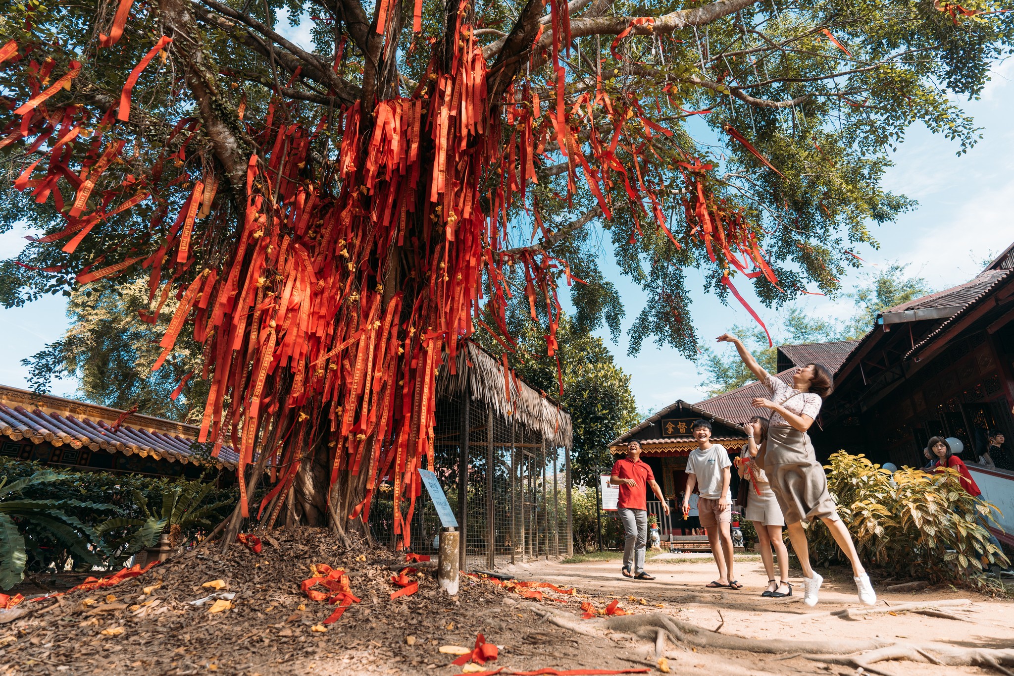 Chinese Temples in Malaysia - tree