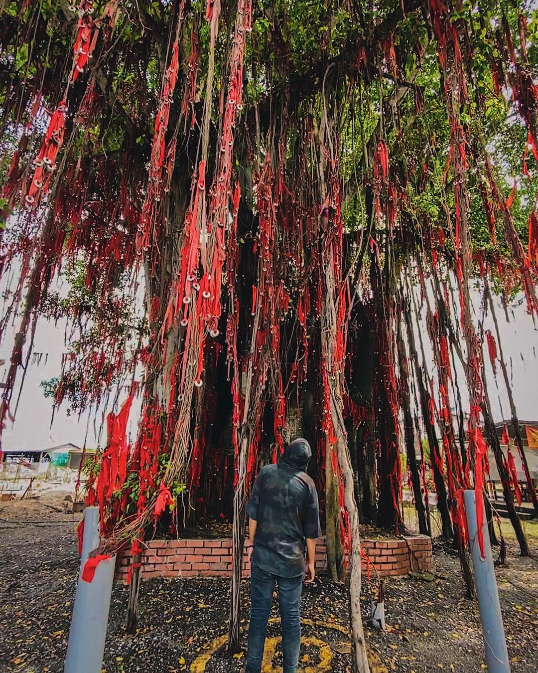 Sekinchan Selangor Guide - wishing tree