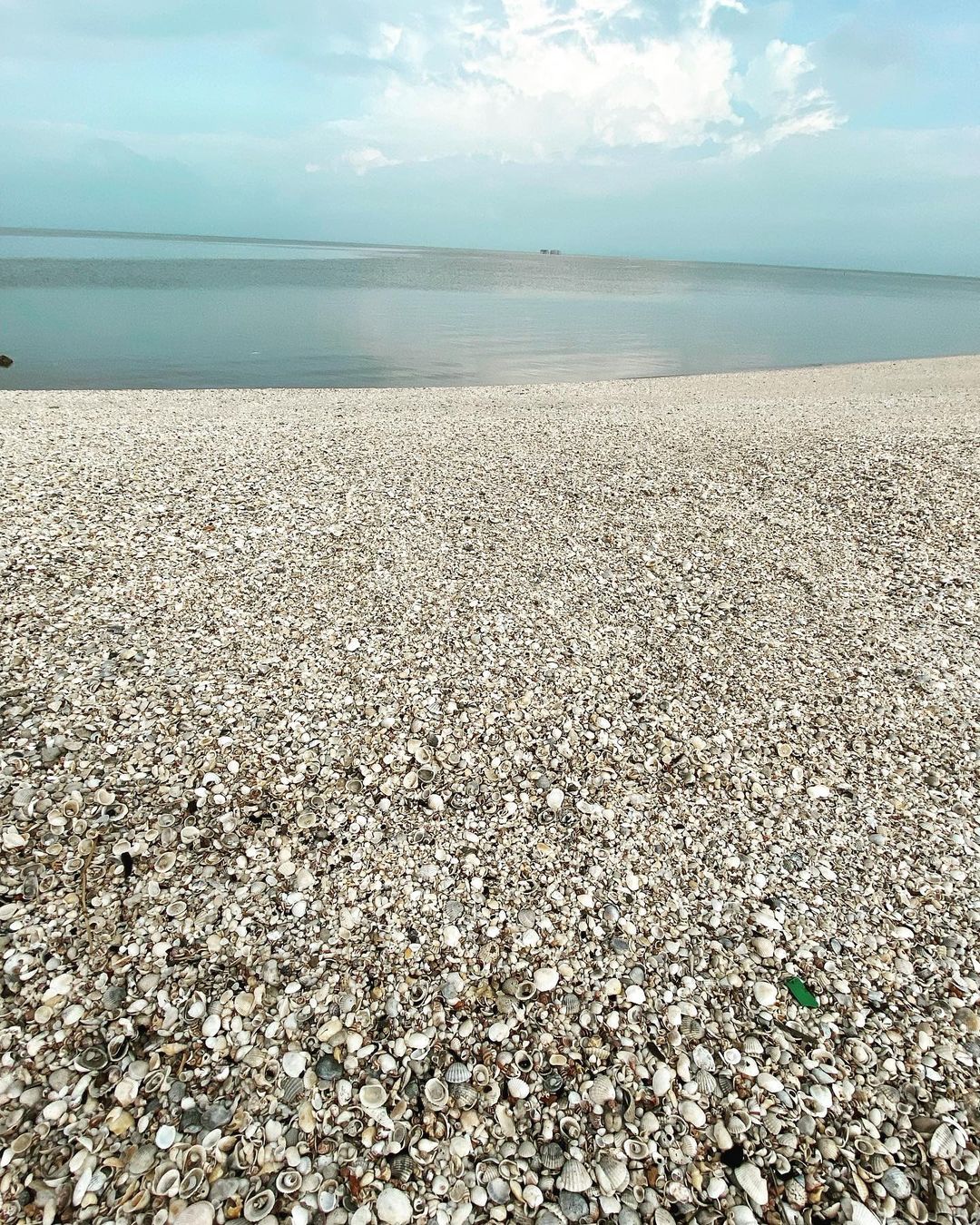 Sekinchan Selangor Guide - seashells