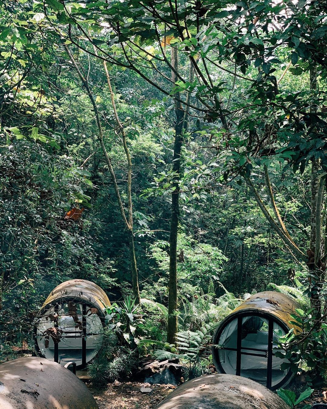 Glamping Malaysia - Time capsule