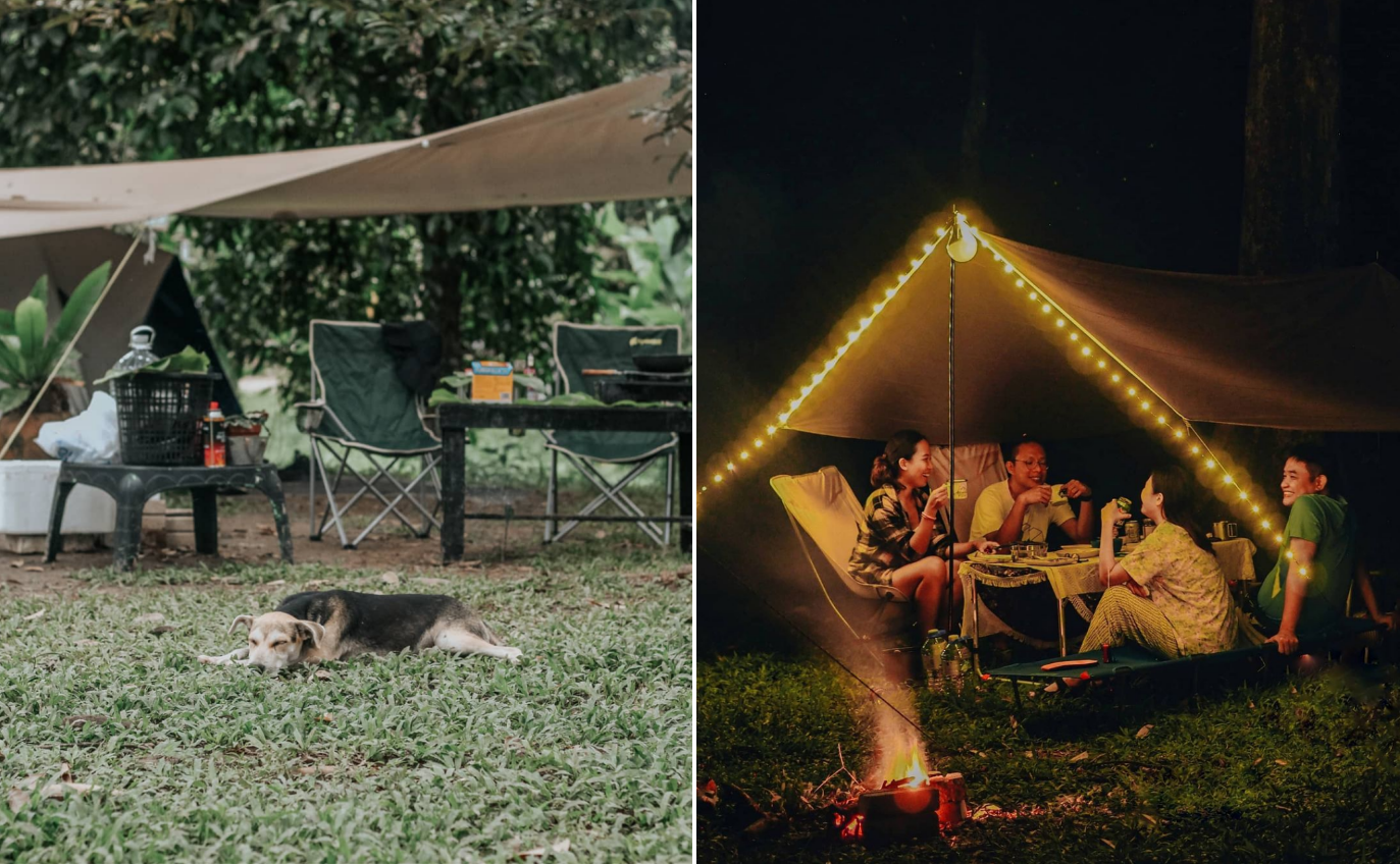 Glamping Malaysia - Hammocks pets