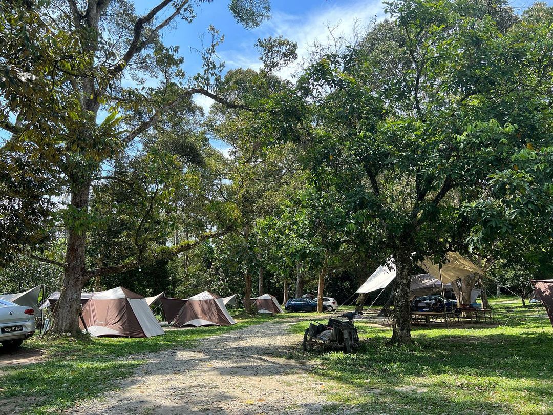 Glamping Malaysia - Hammocks tents