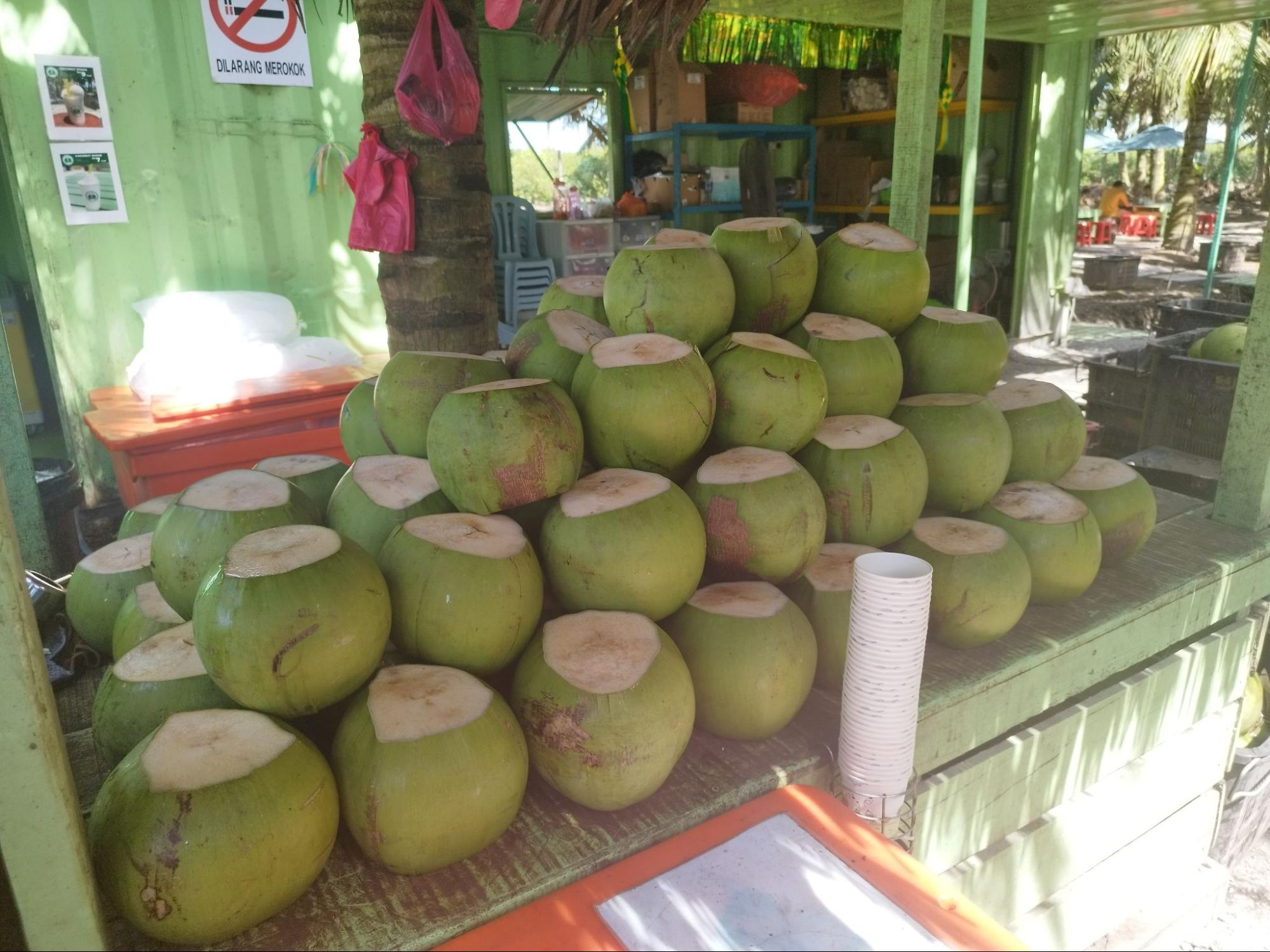 Sekinchan Selangor - coconuts