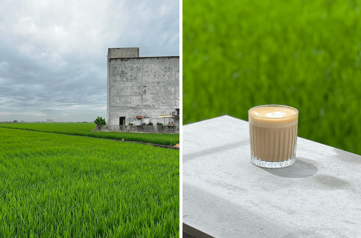 Farm cafes and restaurants near KL - paddy field view