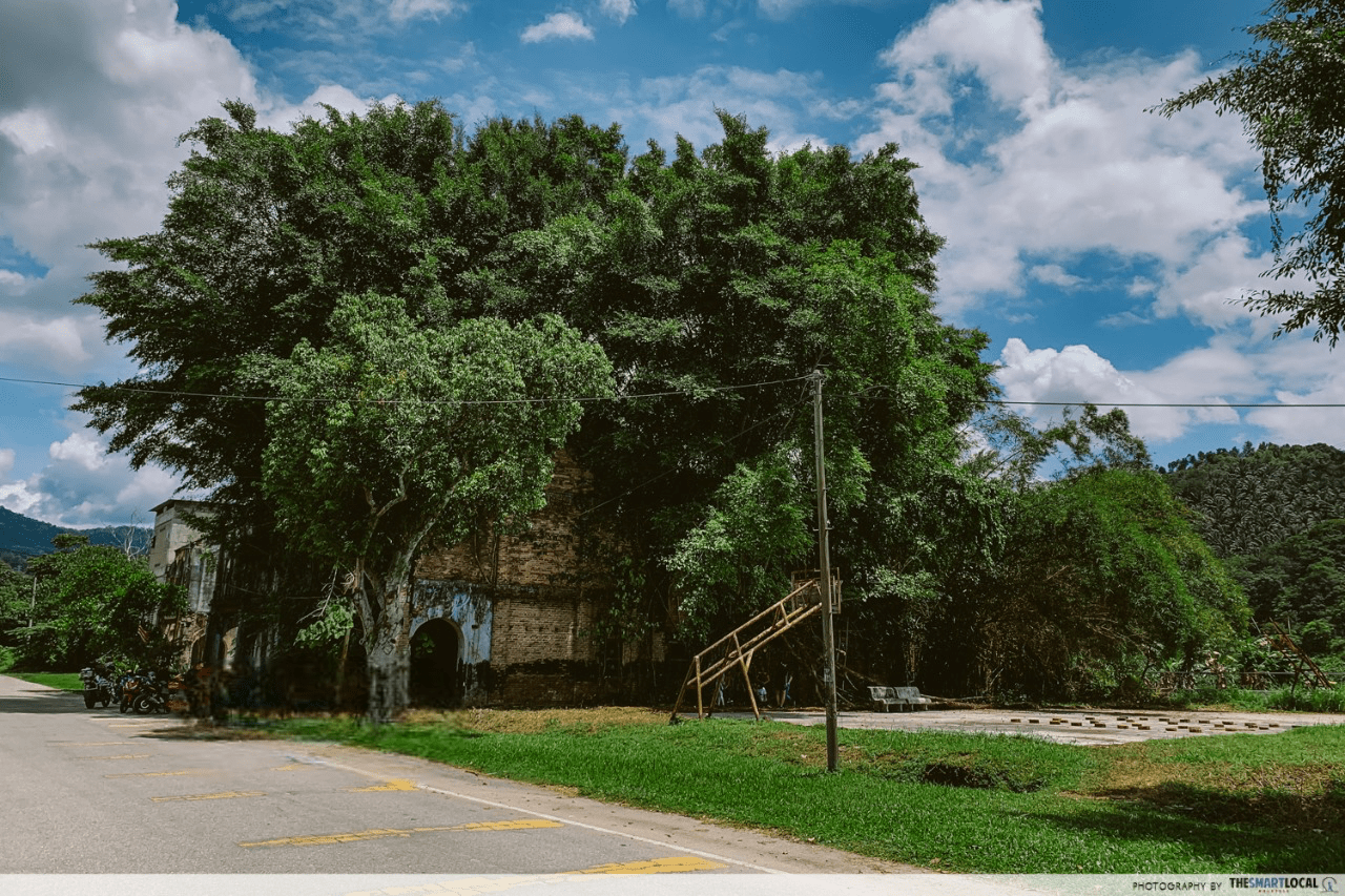 Papan town in Perak - trees