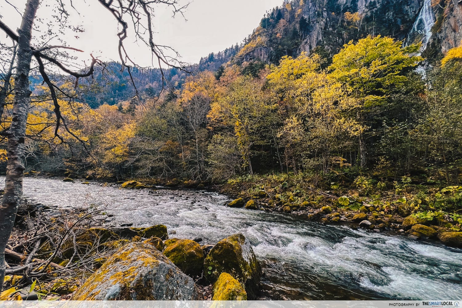 Things to do in Hokkaido in Japan - creek